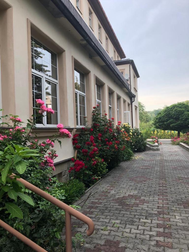 Grandhotel Nový Bor Exterior foto